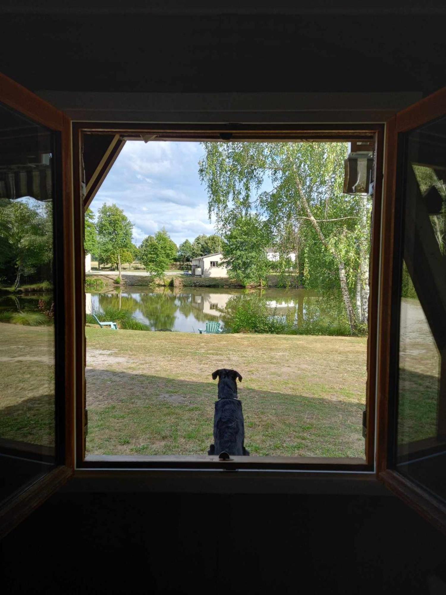 Le Chalet Limousin Folles Bagian luar foto