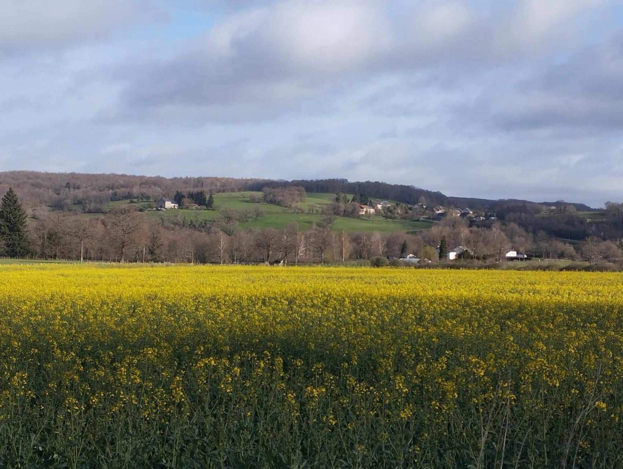 Le Chalet Limousin Folles Bagian luar foto
